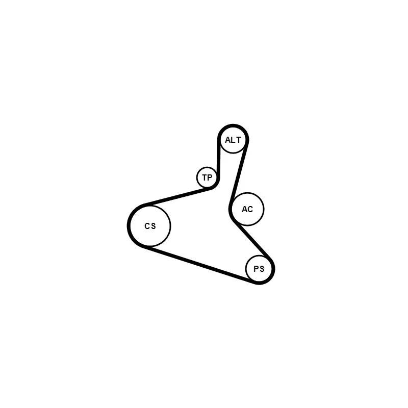 Jeu de courroies trapézoïdales à nervures CONTITECH 6DPK1195K1 - Visuel 1