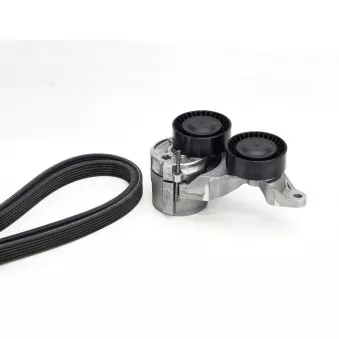 CONTITECH 6DPK1825K2 - Jeu de courroies trapézoïdales à nervures
