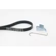 CONTITECH 6PK1029 ELAST T1 - Jeu de courroies trapézoïdales à nervures