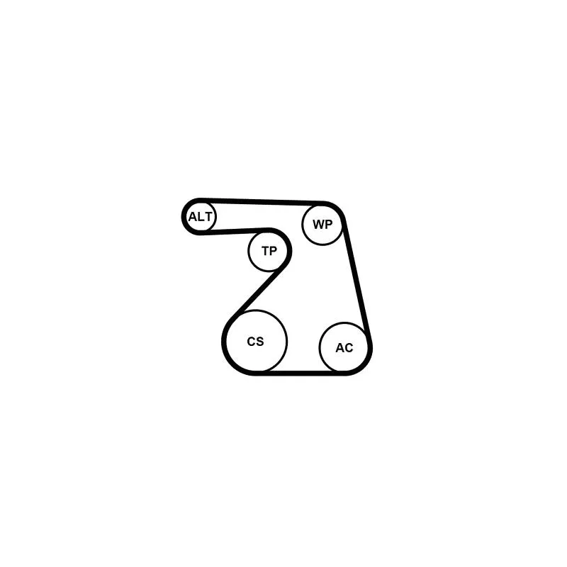 Jeu de courroies trapézoïdales à nervures CONTITECH 6PK1217K2 - Visuel 1