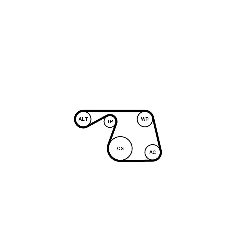 Jeu de courroies trapézoïdales à nervures CONTITECH 6PK1310K1 - Visuel 1