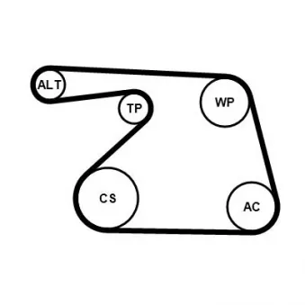 Jeu de courroies trapézoïdales à nervures CONTITECH 6PK1325K1 pour FIAT GRANDE PUNTO 1.3 JTD Multijet - 75cv