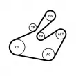 CONTITECH 6PK1468K1 - Jeu de courroies trapézoïdales à nervures