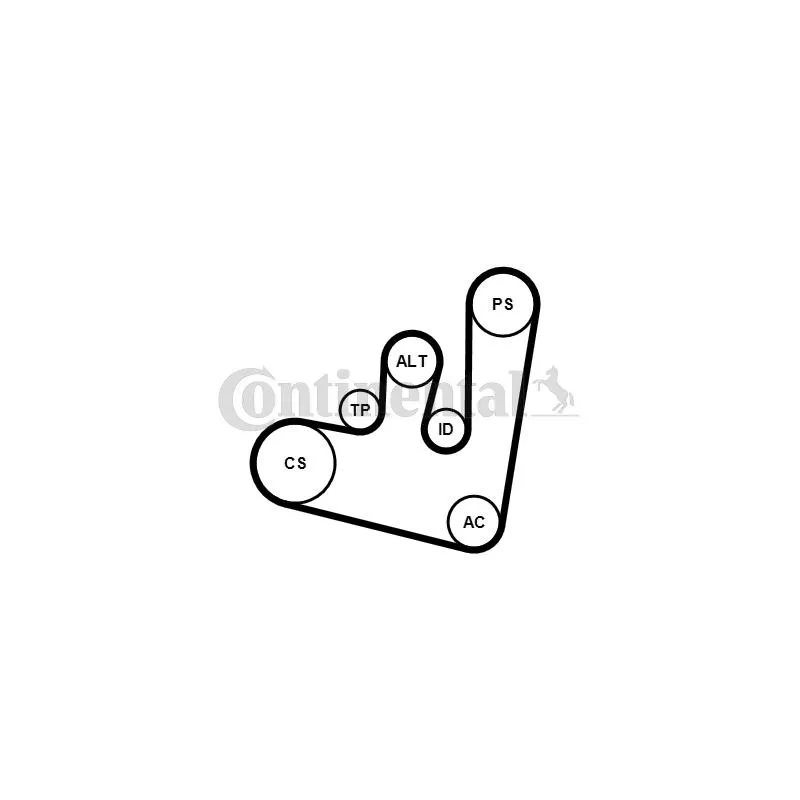 Jeu de courroies trapézoïdales à nervures CONTITECH 6PK1660K2 - Visuel 1