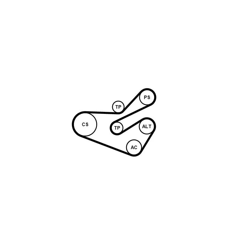 Jeu de courroies trapézoïdales à nervures CONTITECH 6PK1740K3 - Visuel 1