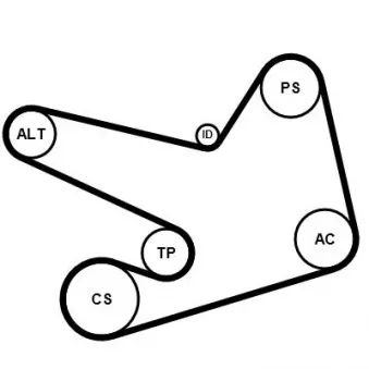 Jeu de courroies trapézoïdales à nervures CONTITECH 6PK1900K2 pour OPEL CORSA 2.0 BiTurbo CDTI - 194cv