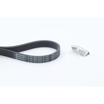 CONTITECH 6PK842 ELAST T1 - Jeu de courroies trapézoïdales à nervures