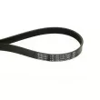 Courroie trapézoïdale à nervures CONTITECH [7PK1038 ELAST]