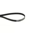 CONTITECH 7PK1195 ELAST - Courroie trapézoïdale à nervures
