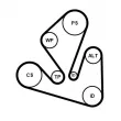Jeu de courroies trapézoïdales à nervures CONTITECH [7PK1666K1]