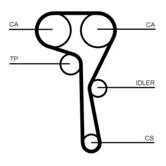 Kit de courroie crantée CONTITECH CT1167K8 pour SKODA SCALA 1.0 TSI - 110cv