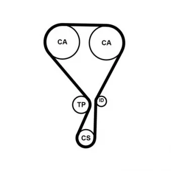 CONTITECH CT1228K4PRO - Kit de courroie crantée