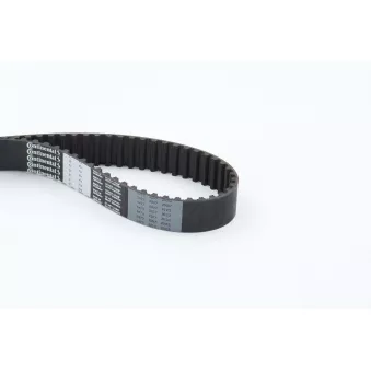 Courroie crantée CONTITECH OEM 14400P5TG00