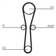 CONTITECH CT954 - Courroie crantée