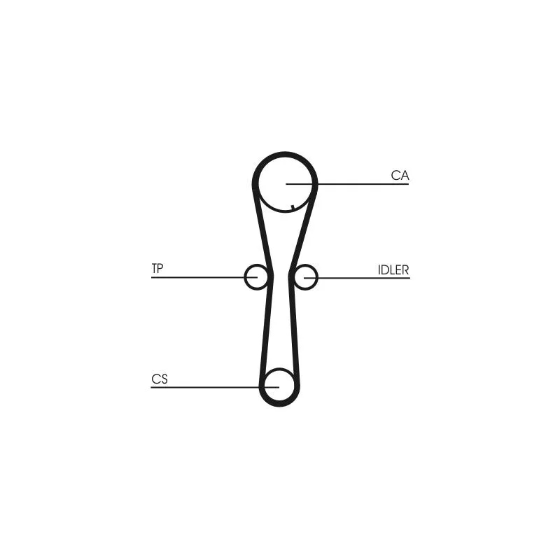 Kit de distribution CONTITECH CT954K1 - Visuel 1