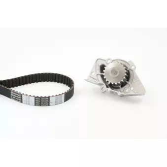 Pompe à eau + kit de courroie de distribution CONTITECH CT955WP2
