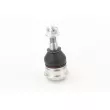 CONTITECH SUG1009 - Rotule de suspension