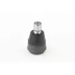 Rotule de suspension CONTITECH [SUG1018]
