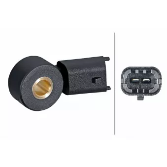 Capteur de cognement HELLA 6PG 013 114-591 pour CHEVROLET ORLANDO 1.4 - 140cv