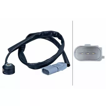 Capteur de cognement HELLA 6PG 013 114-641