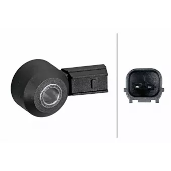 Capteur de cognement HELLA 6PG 013 114-781 pour HONDA CR-V 1.5 VTEC AWD - 173cv