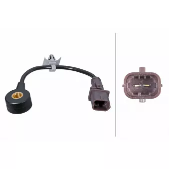 Capteur de cognement HELLA 6PG 013 114-831 pour CHEVROLET ORLANDO 1.8 LPG - 141cv