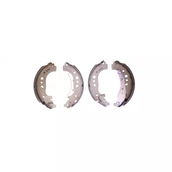 Jeu de mâchoires de frein HELLA OEM 4534230011