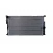 HELLA 8MK 366 301-001 - Radiateur, refroidissement du moteur