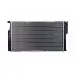HELLA 8MK 366 301-001 - Radiateur, refroidissement du moteur