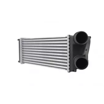 HELLA 8ML 366 340-321 - Intercooler, échangeur