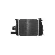 HELLA 8ML 366 340-661 - Intercooler, échangeur