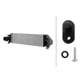 Intercooler, échangeur HELLA 8ML 366 471-051 pour FORD C-MAX 2.0 TDCi - 170cv