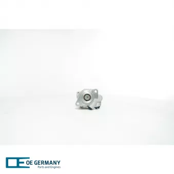 OE Germany 02 1390 200005 - Pompe hydraulique, direction