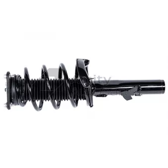 Jambe de suspension avant gauche Amity AP [16-SS-0007]