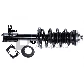 Jambe de suspension avant gauche Amity AP [20-SS-0005]