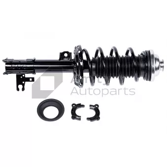 Jambe de suspension avant droit Amity AP [20-SS-0006]