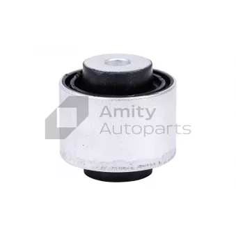 Suspension, bras de liaison avant Amity AP [28-BS-0002]