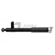 Amortisseur arrière gauche Amity AP [34-SH-0006]