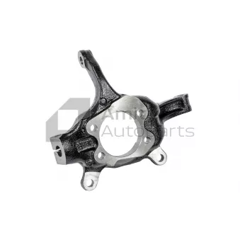 Amity AP 40-SK-0002 - Fusée d'essieu, suspension de roue avant droit