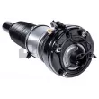 Amity AP 60-AS-0078 - Armortisseur pneumatique avant