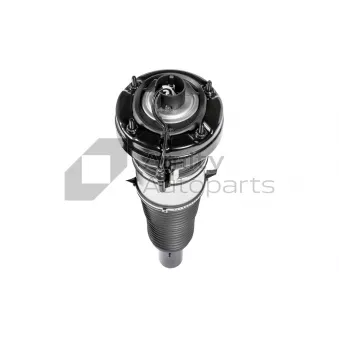 Amity AP 60-AS-0082 - Armortisseur pneumatique avant