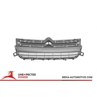 Grille de radiateur MEHA AUTOMOTIVE OEM 16800260XT