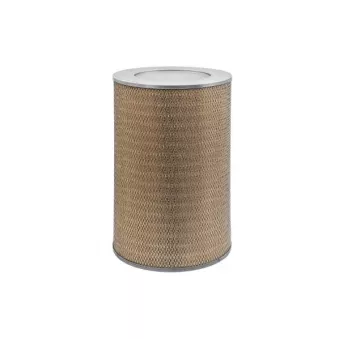 Filtre à air MECAFILTER OEM 5010066304