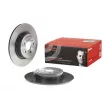 BREMBO 08.C301.11 - Jeu de 2 disques de frein arrière