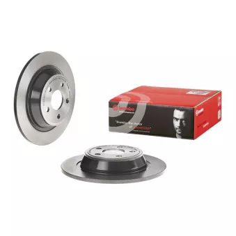 Jeu de 2 disques de frein arrière BREMBO OEM 1877765