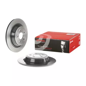 Jeu de 2 disques de frein arrière BREMBO OEM 2019881
