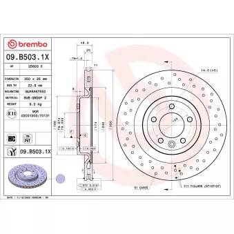 Jeu de 2 disques de frein arrière BREMBO OEM lr161898