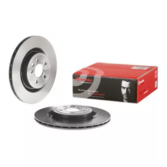 Jeu de 2 disques de frein arrière BREMBO OEM lr090699