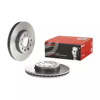 Jeu de 2 disques de frein avant BREMBO OEM 5q0615301a