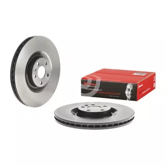 Jeu de 2 disques de frein avant BREMBO OEM 31400569